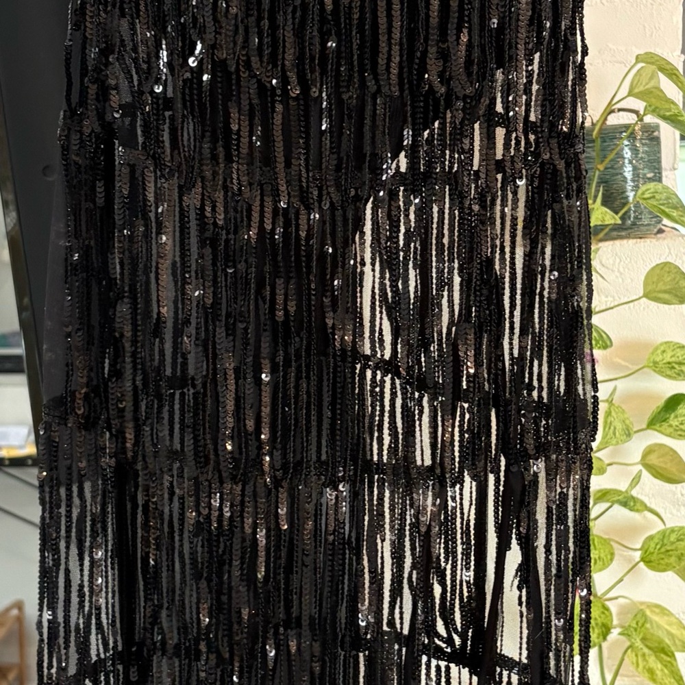 Black Sequin Fringe dress